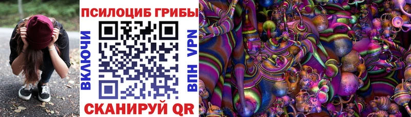 Галлюциногенные грибы Cubensis  где купить наркотик  Губаха 